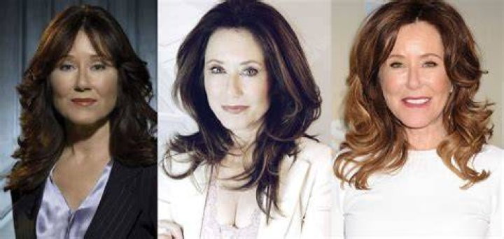 Mary McDonnell Facelift Plastic Surgery Before and After